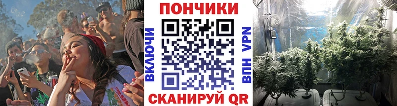 Марихуана планчик  KRAKEN ONION  Стародуб 